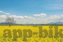 麻豆91av在线-网络边缘的灰色地带——对网络内容与平台责任的反思